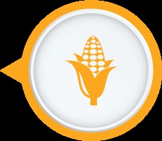 Keeps Food Fresh � Kent Vegetable Purifier & Washer