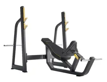 Olympic Bench Incline E 1042e Home Gym Black Buy Online At Best