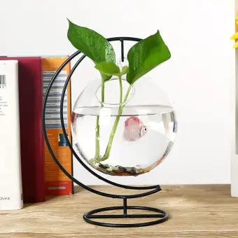Moon Shape Glass Vase And Aquarium