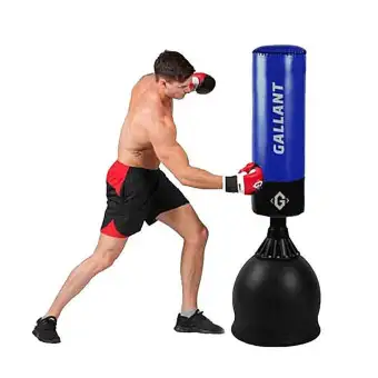 Standing Punching Bag Black And Blue