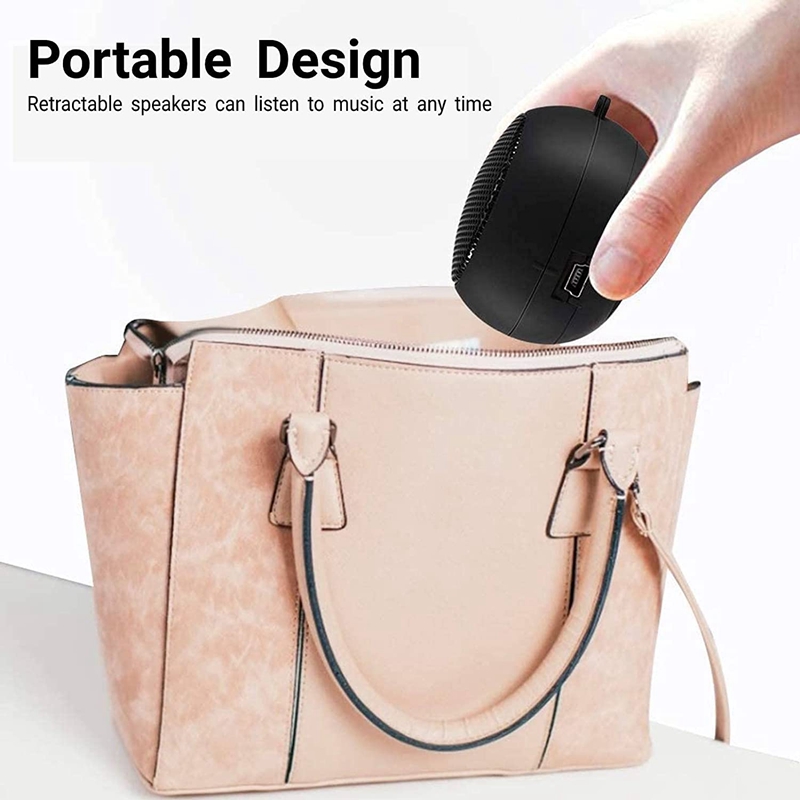 LKPCIGCXM Mini Speaker Portable Rechargeable Travel Speaker with Aux Input Wired 3.5mm Headphone Jack. 