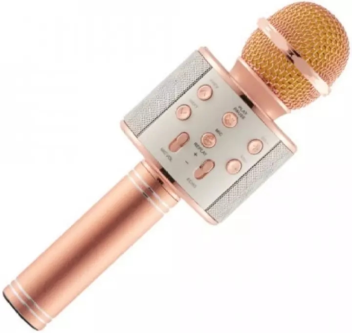 karaoke mouth speaker