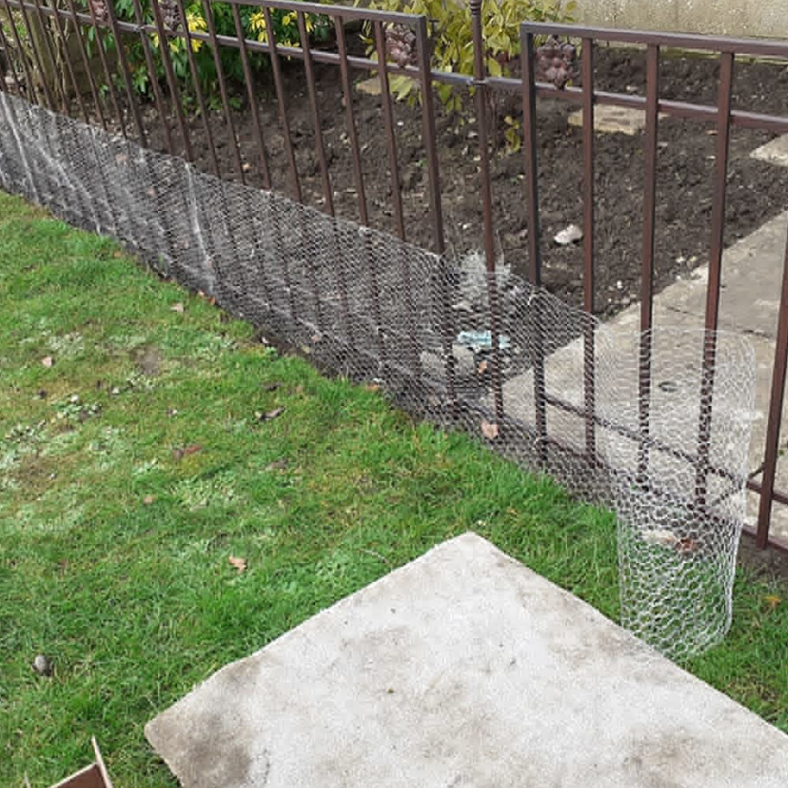 Chicken Wire Wide Application Metal Rabbit Fence Wire. 