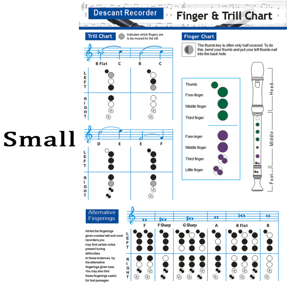 Recorder Chords Scales Chart Master Recorder Chord Progressions Reference Poster Recorder Chords Theory Poster For Beginners Teacher. 