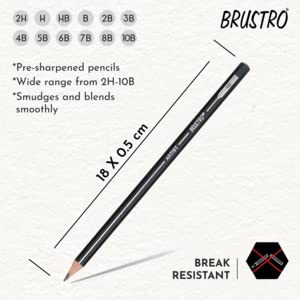 BRUSTRO Artists Fineart Graphite Pencil Set of 12 (10B-2H) with Elegant Tin Box. 