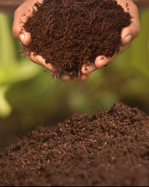 Natural Coco Peat- (Ready Cocopeat) for Gardening/Perfect Ready Mix Coco Peat. 