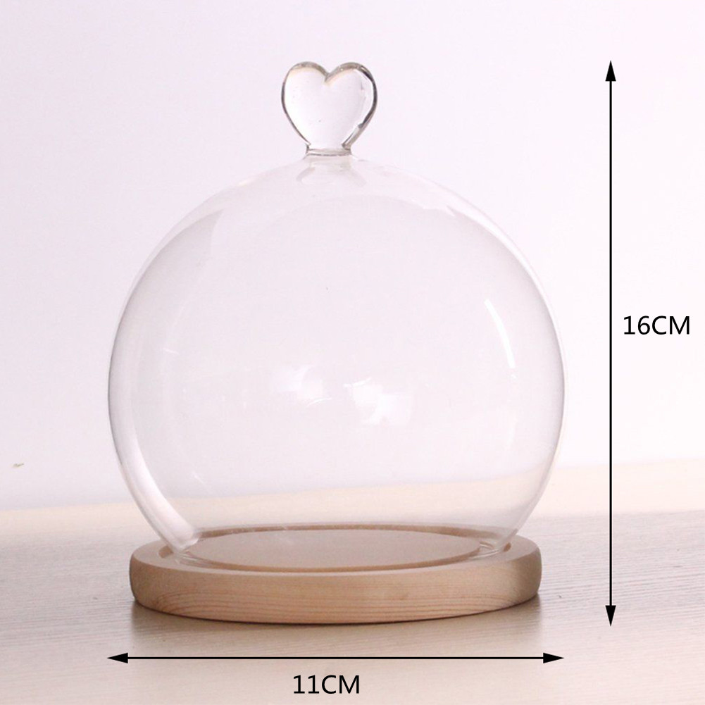 Glass Globe Display Dome Cover with Wood Base art Shape Handle e Decoration. 