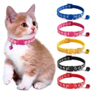 Kitten 2025 neck band