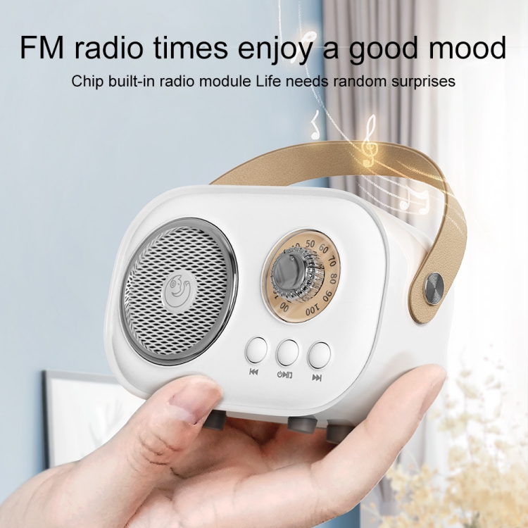 Wireless Microphone Speaker System Rechargeable Bluetooth Mics Speaker For Home. 