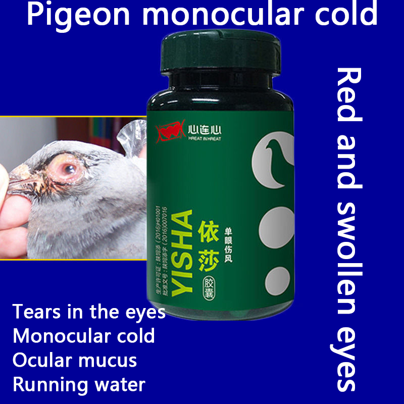 Pigeon single eye cold eyes tearing mucus running eyes red and swollen pigeon chlamydia 60 capsules