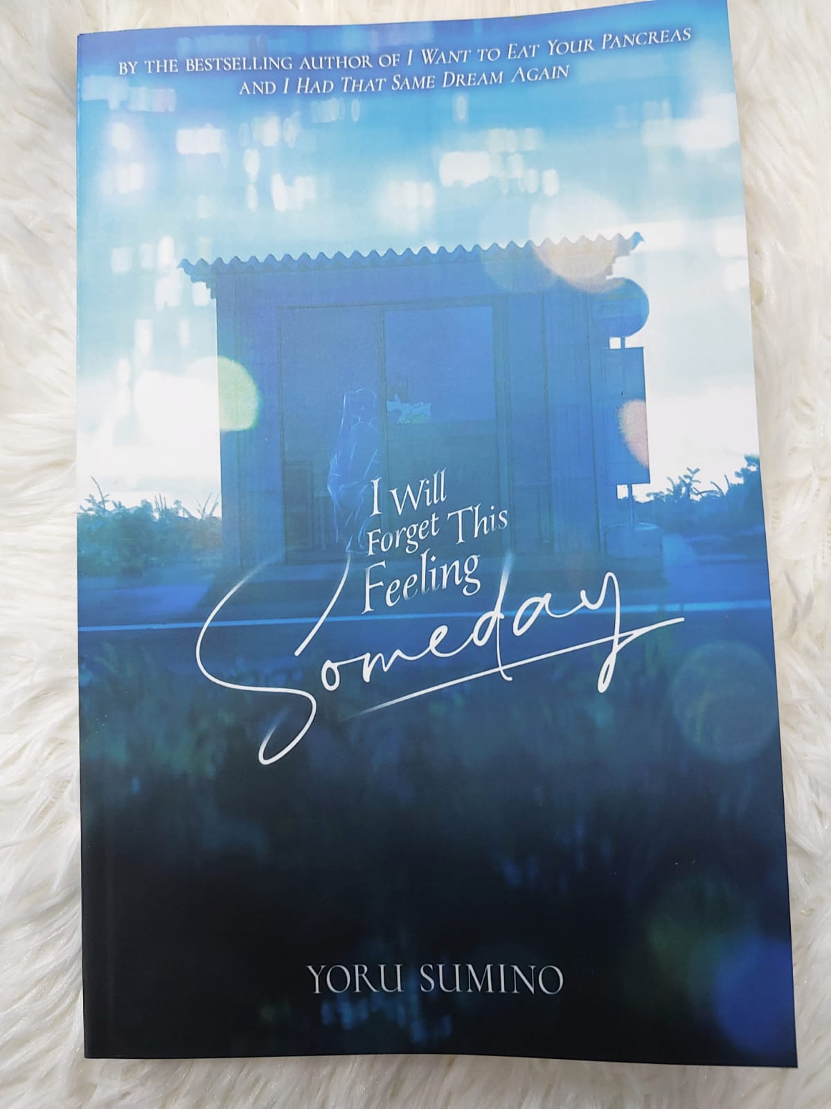 Yoru Sumino's Light Novel Combo (I Will Forget This Feeling Someday + I am Blue, in Pain, and Fragile). 
