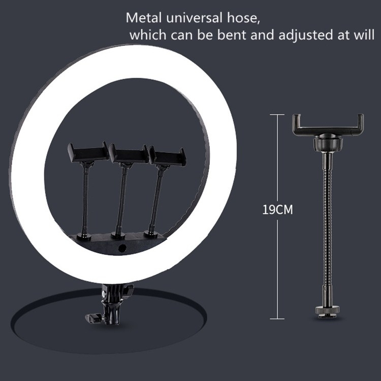 HQ-21N 21 inch 52.5cm LED Ring Vlogging Photography Video Lights Kits with Remote Control & Phone Clamp & 2.1m Tripod Mount, EU Plug. 