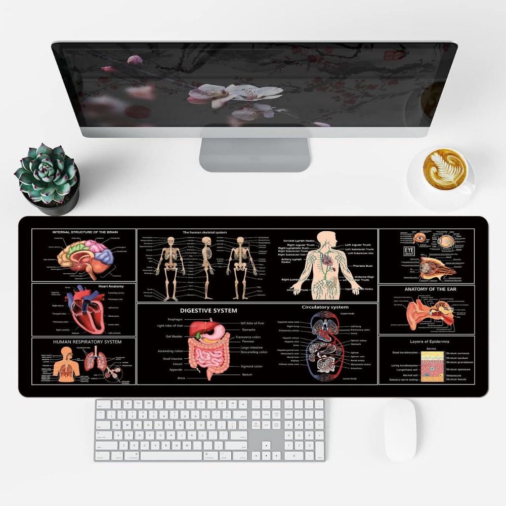 Periodic Table of Elements Java/Python/SQL Shortcut Mouse Pad EXCO Office Music/Medicine Keyboard Mats English Shortcut Keys Investor Gift Trader Desk Pad Laptop Pads. 