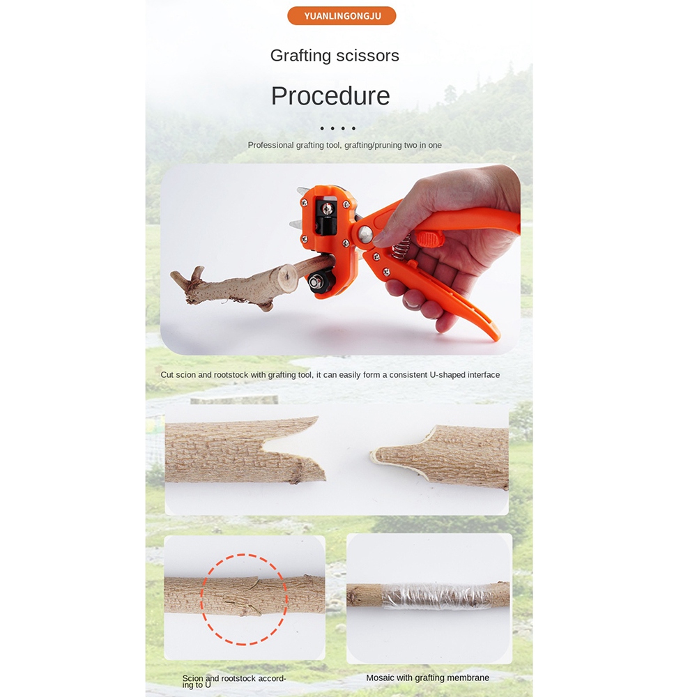 Multifunctional Grafting Scissors for Fruit Trees and Grape Vines. 