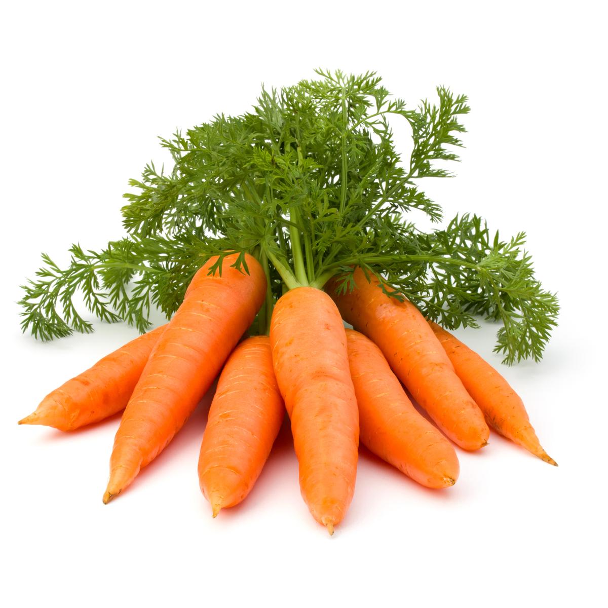 Progressive - Opulence at Its Best - Hybrid Carrot (Gazor) Seeds 1 intake packet (05 gram) - Tools, DIY & Outdoor - Must Have. 
