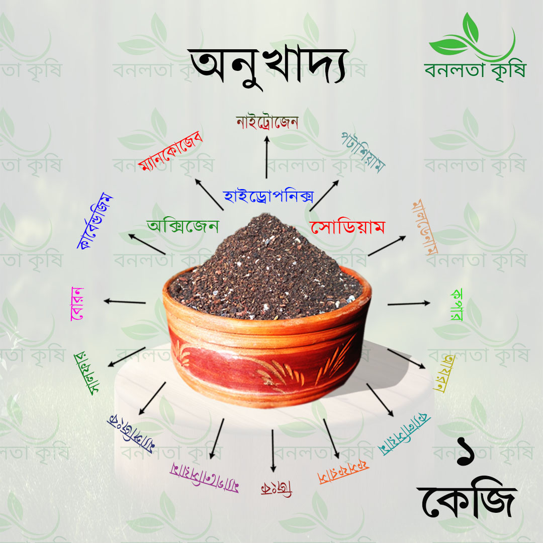 Rossiya ayollar qamoqxonasida yashirin kamera