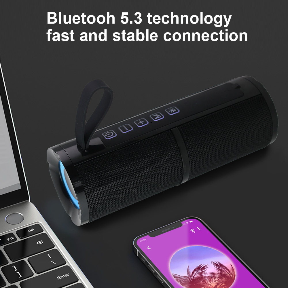 WISE TIGER FM Radio Speaker Bluetooth Speaker BT5.3 Portable Bluetooth Speaker with RGB Light USB TF Card Slot 10W TWS Dual Pair. 