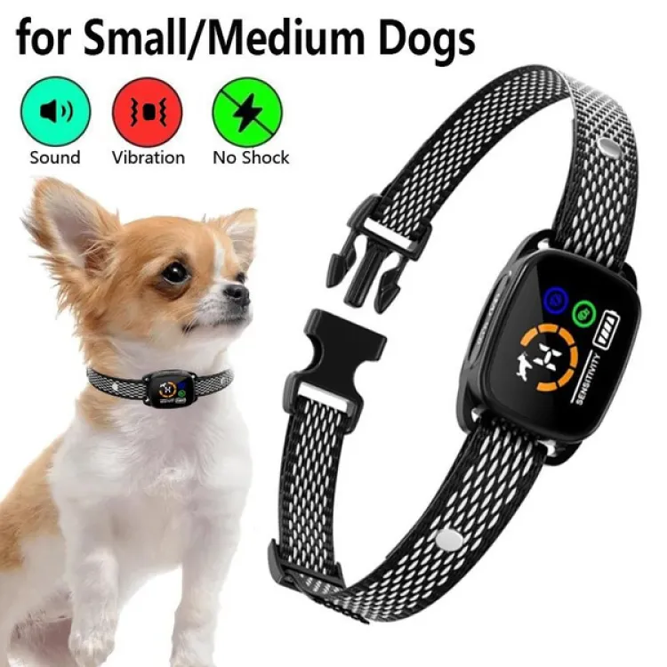 Shock collar for outlet a chihuahua