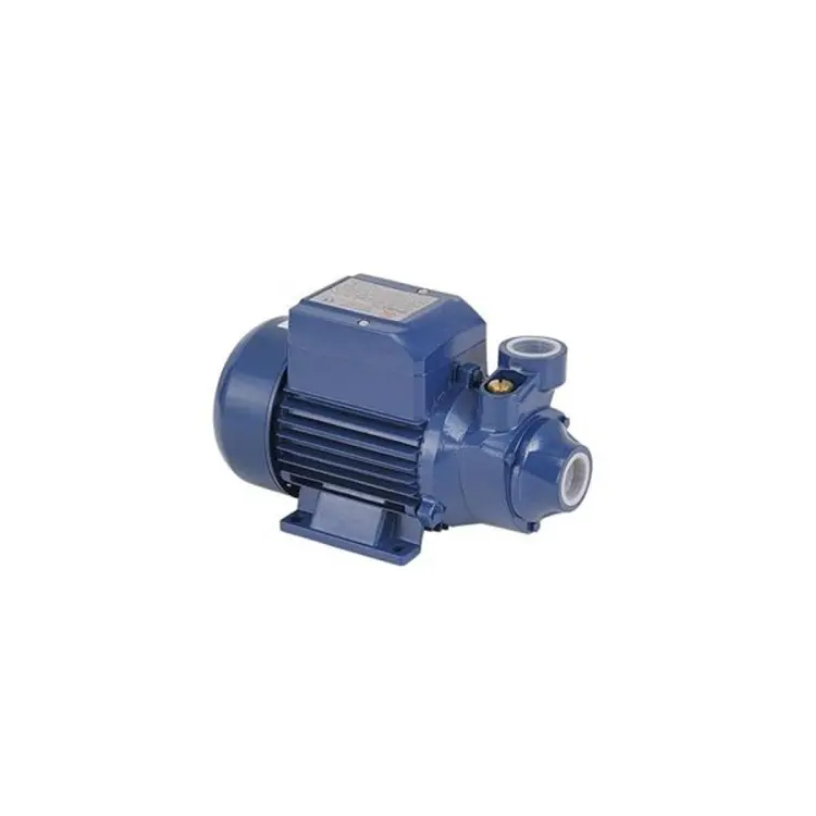 CK Water Pumps From Pedrollo, 42% OFF