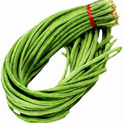 Vanilla Beans Bonsai Seed/10 pcs seeds only.