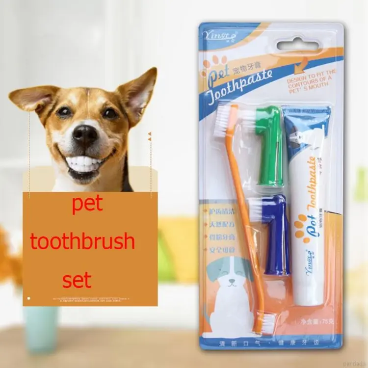 Target shop dog toothbrush