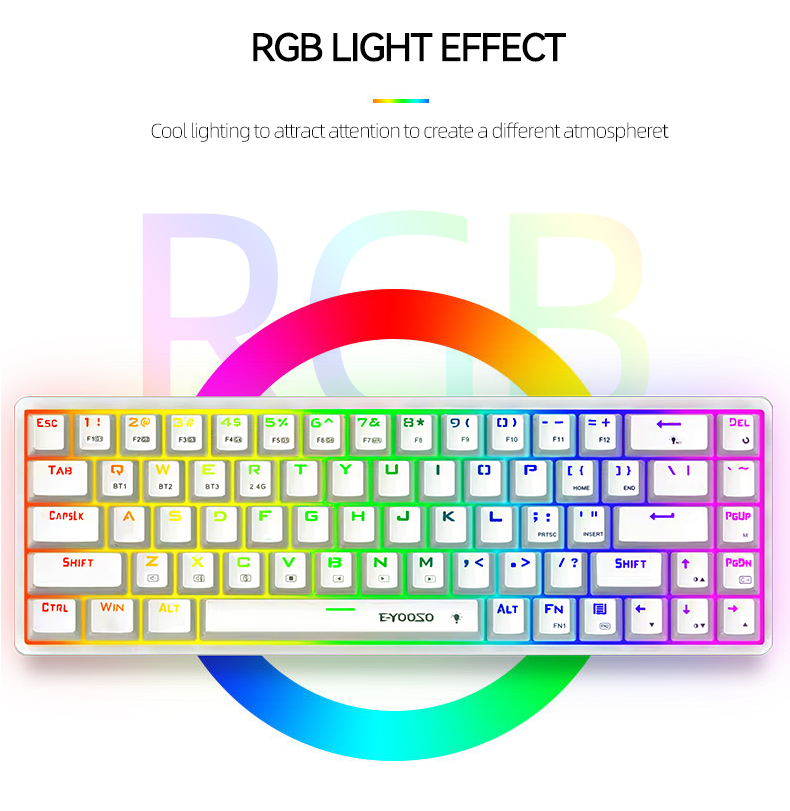 E-YOOSO Z686 Compact Mechanical Keyboard with Customizable RGB Backlit. 
