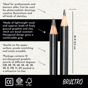 BRUSTRO Artists Fineart Graphite Pencil Set of 12 (10B-2H) with Elegant Tin Box. 
