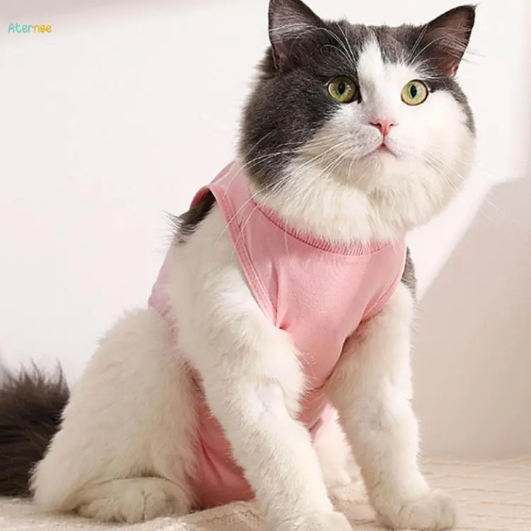 Cat clothes on sale to prevent licking