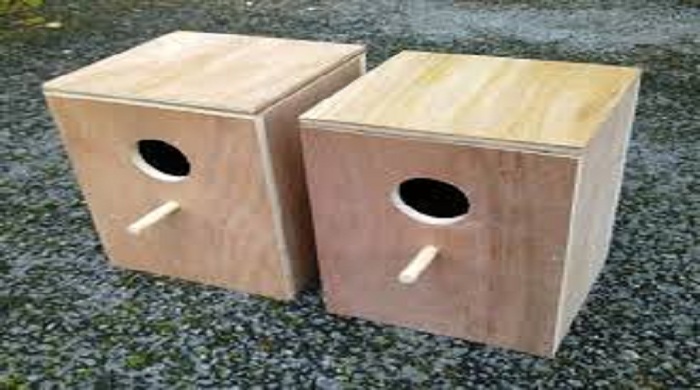 Cockatiel Bird Breeding Nest Box. 