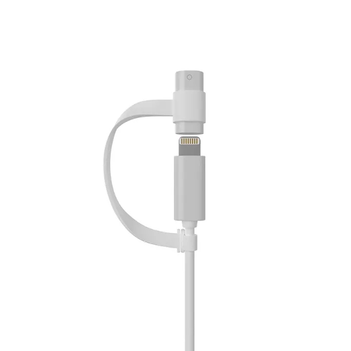 2020 Hot Deals Female to Female Connector Adapter For iPad Pro for Apple  Pencil Lightning Cable Charging and Tether: Buy Online at Best Prices in  Bangladesh 