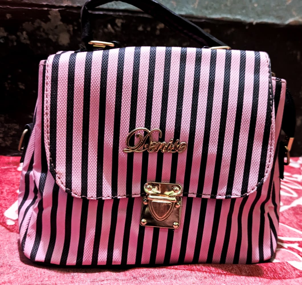 Superlative Trendsetter -Craftsmanship and Trendy -Fashion Ladies Bag for- Progressively Better Remarkable - Disclose Styles & Luxe. 