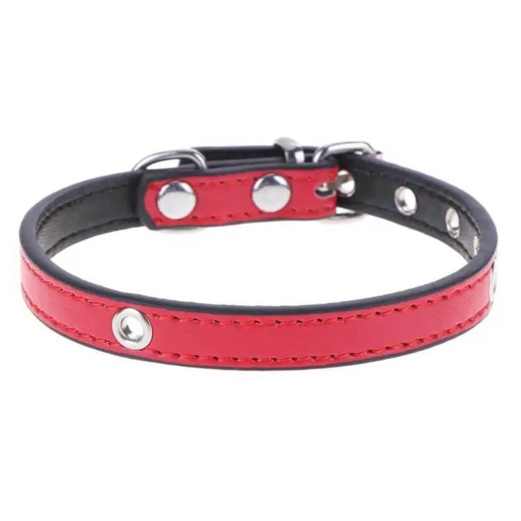 Dog belt hot sale daraz