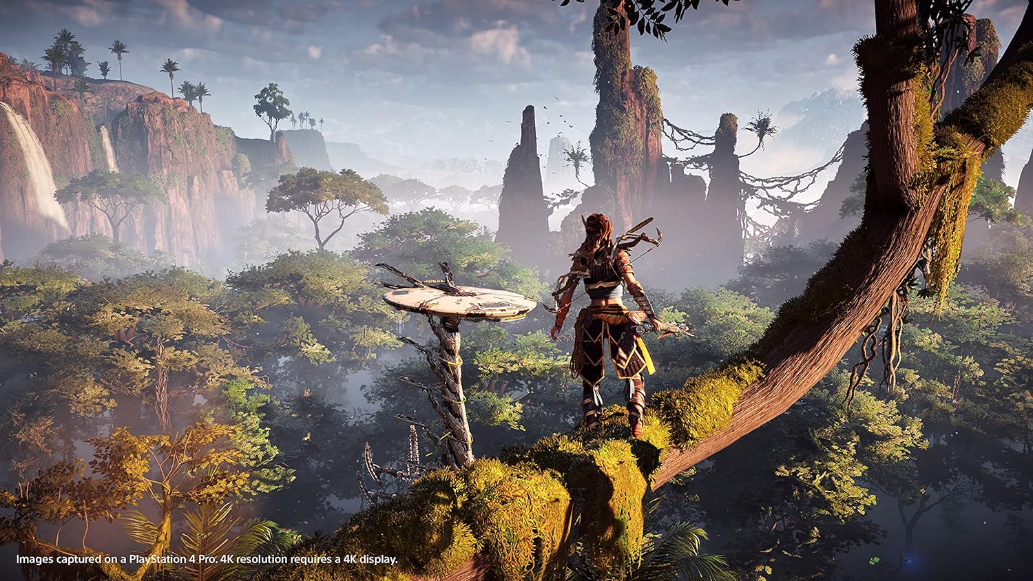 Horizon Zero Dawn: Complete Edition on PS4. 