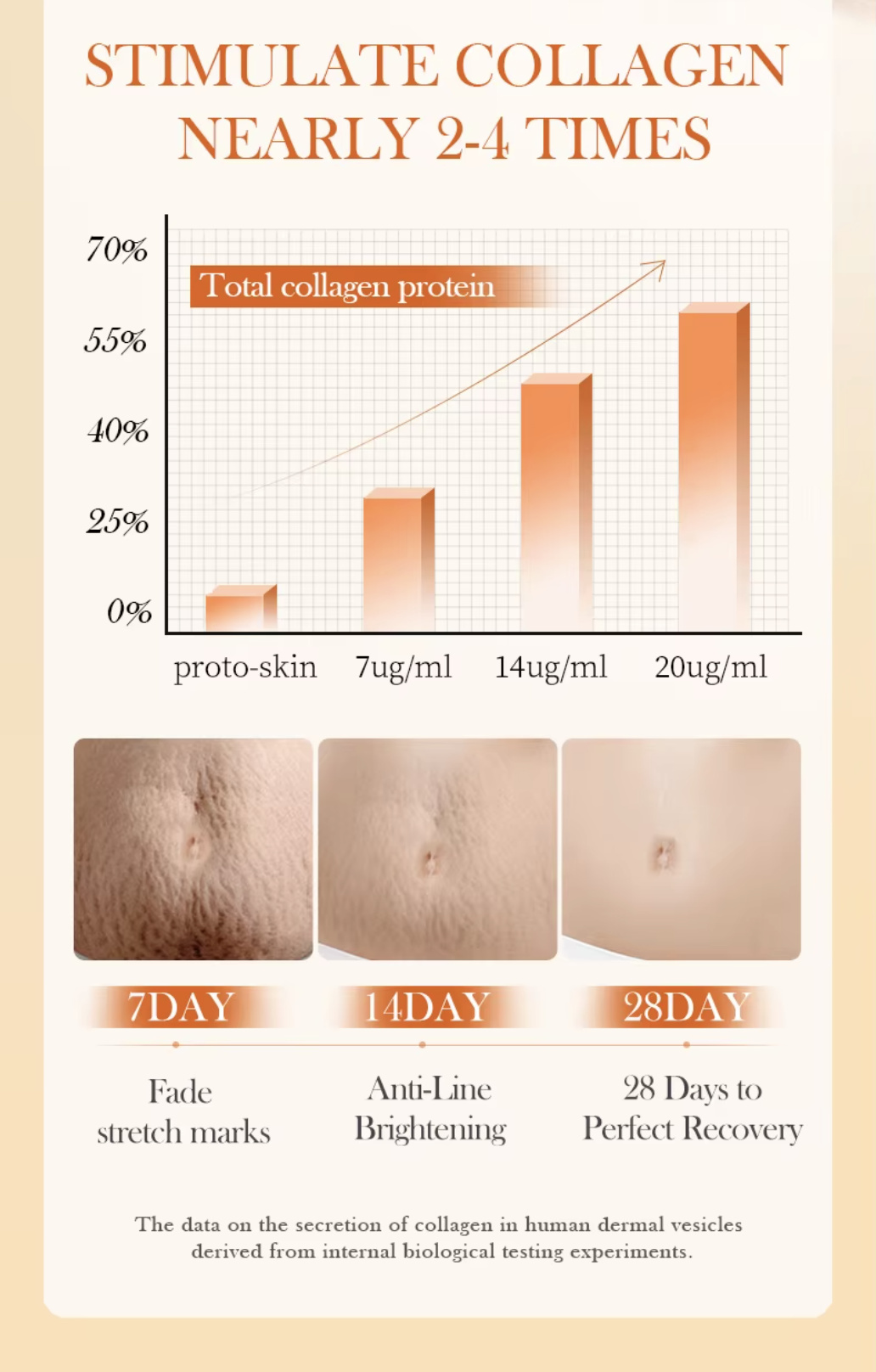 SADOER Oats & Amino Acid Stretch Mark Cream 40gm For Pregnancy Repair Scar, Hydrates and Soothes & Reduces Stretch Marks. 
