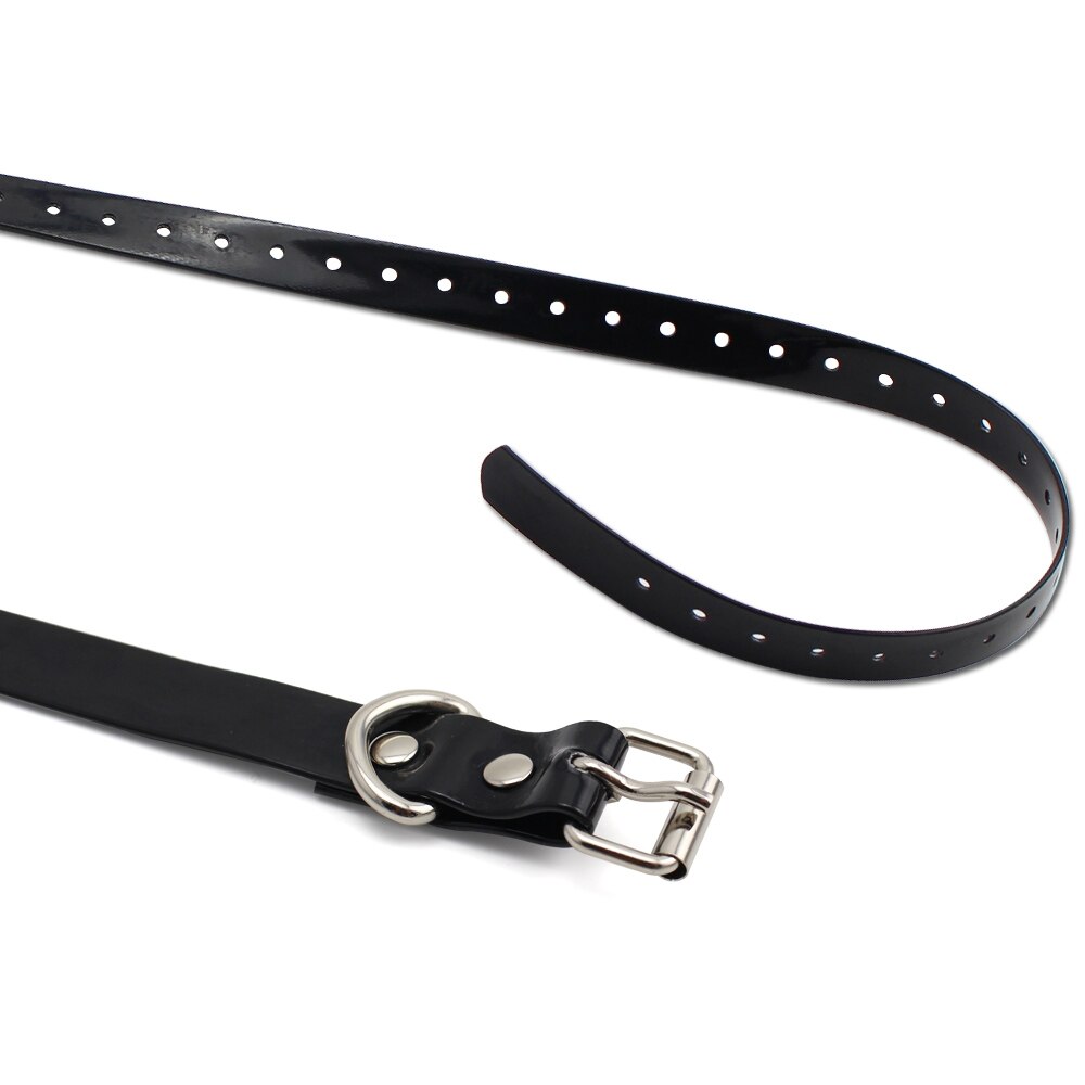 Petrainer 998DB and iPets 619 s Black  collar. 
