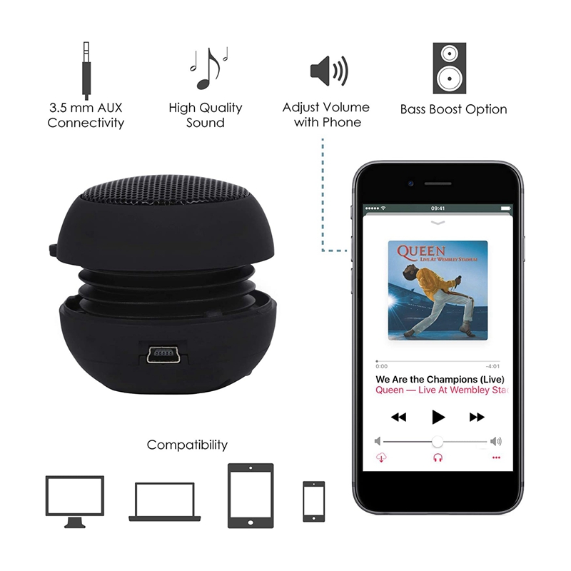 LKPCIGCXM Mini Speaker Portable Rechargeable Travel Speaker with Aux Input Wired 3.5mm Headphone Jack. 