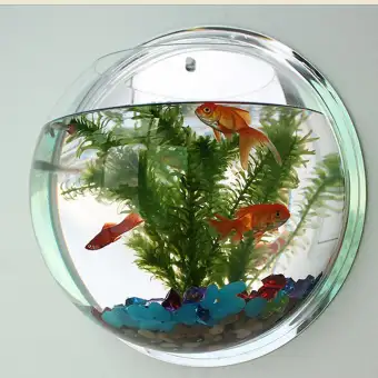 Wall Decoration Fish Tank Hanging Round Acrylic Aquarium 29 Cm