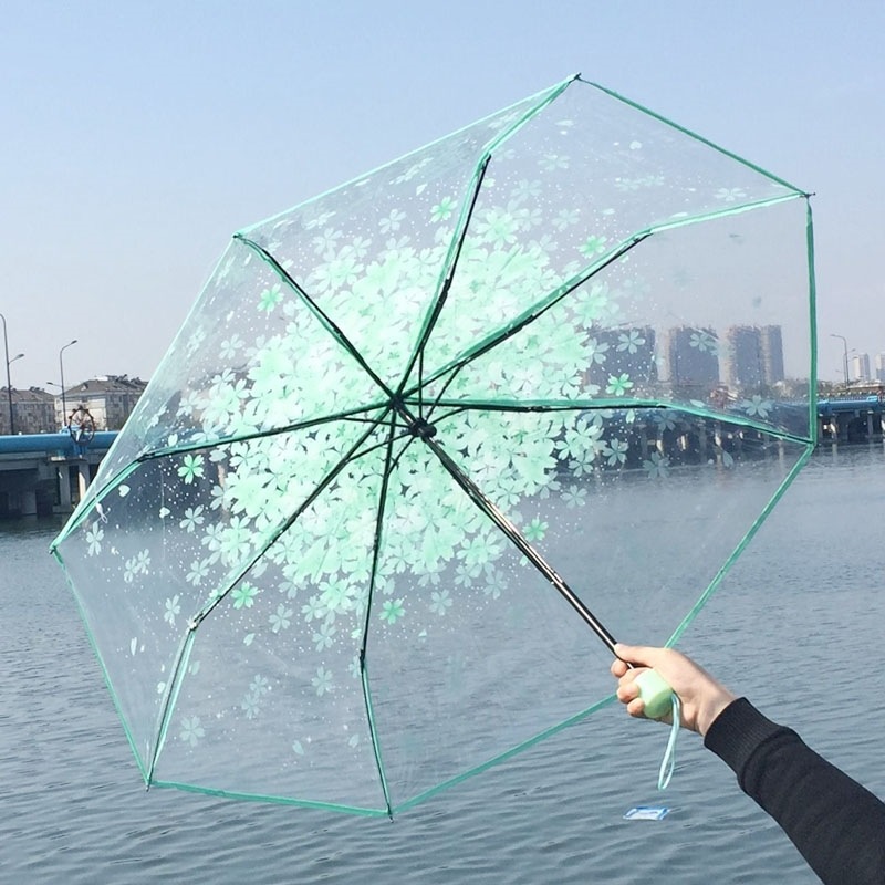 Transparent Flower Design Folding Women’s Fashion Umbrella - Green | Daraz.com.bd