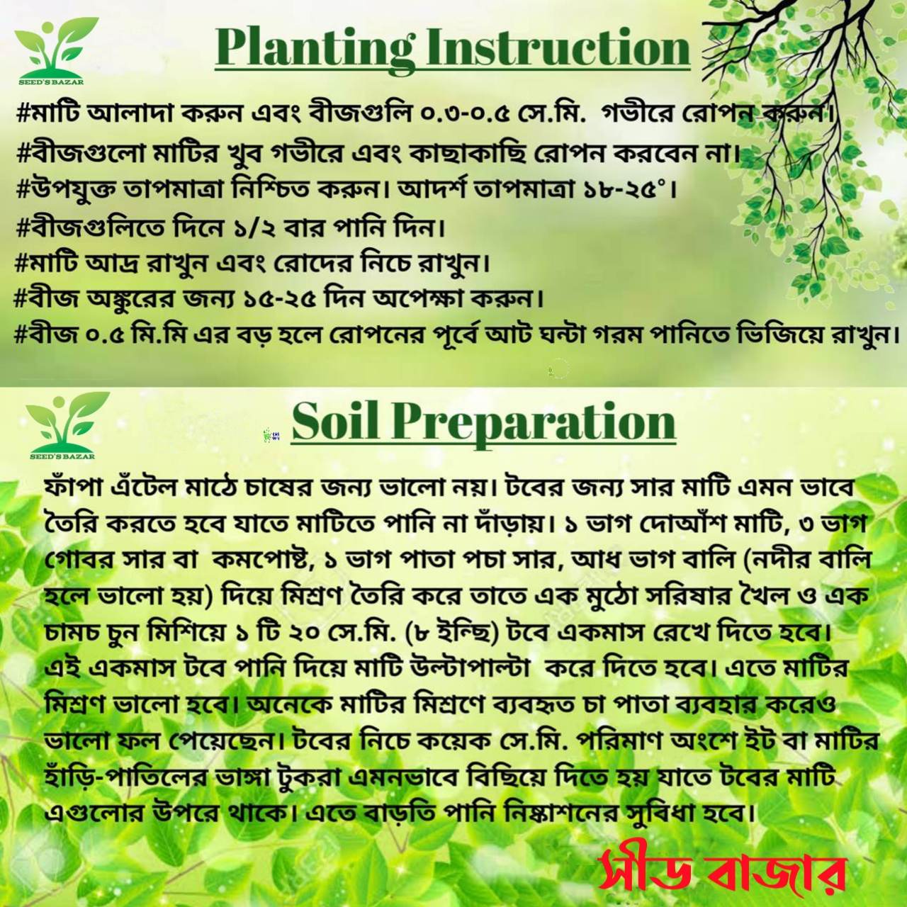 Multicolor katgolap flower seed 4 pice + gift (all season)