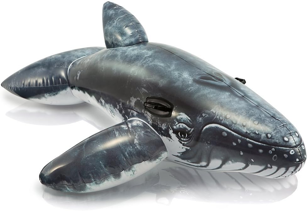 Intex Whale Ride-On Toy | Dimensions When Inflated : 2.01m X 1.35m (79″X43″) | Large Realistic Whale Ride On. 