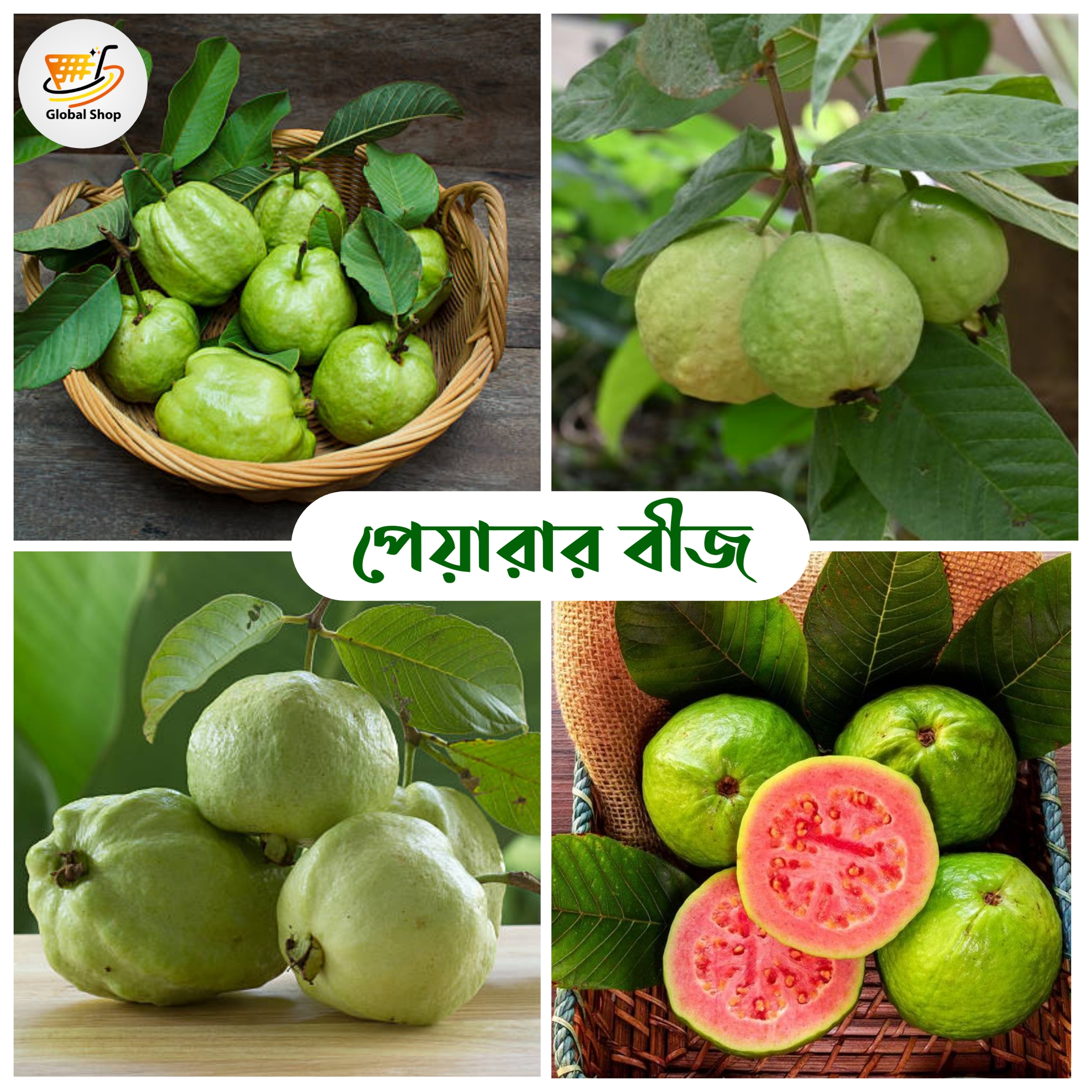 All Season Deshi Guava Fruits Seeds 30 Pices + Gift