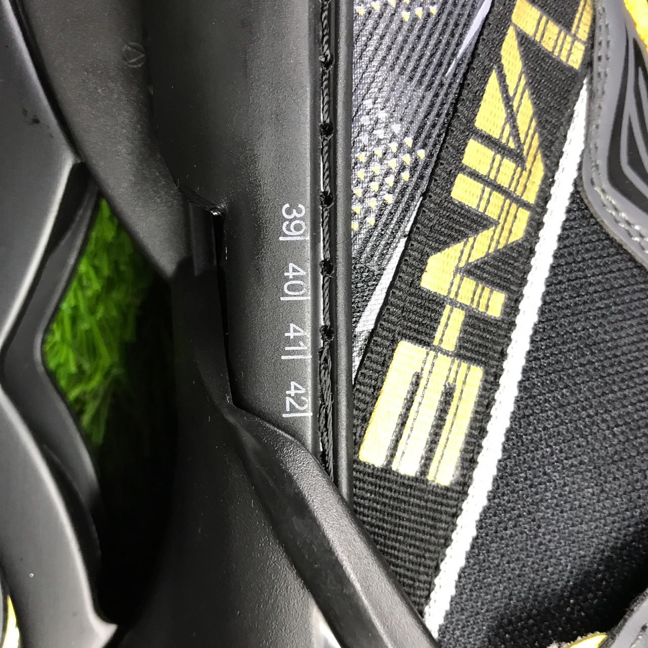 Tian E inline roller skate shoes (size 38-42). 