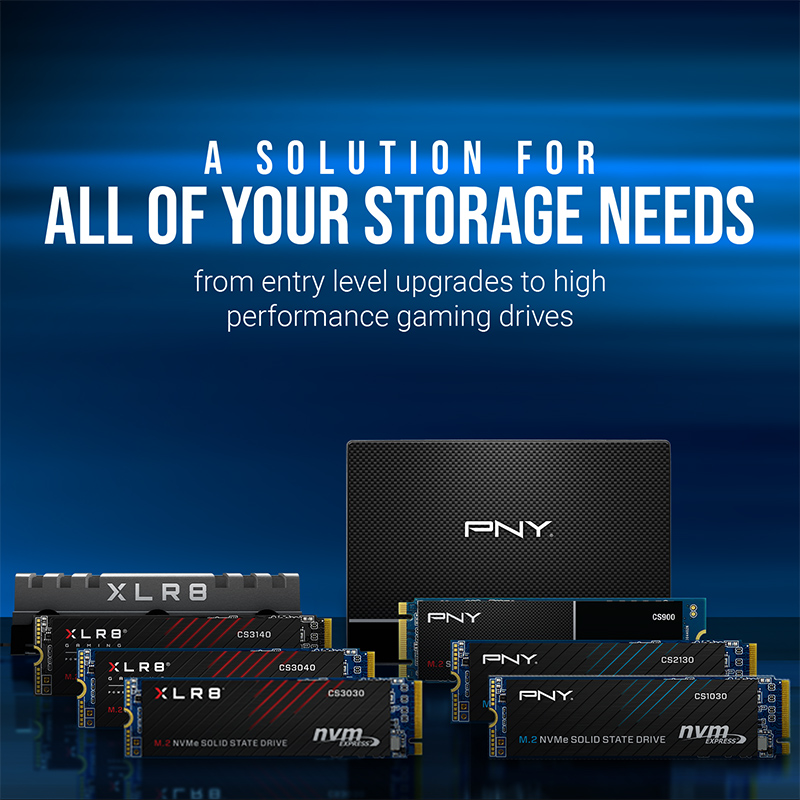 PNY CS900 250GB 2.5-inch SATA III SSD - Sequential Read of up to 535MB/s and Write of up to 500MB/s - 250GB SSD - SSD For Laptop Desktop. 