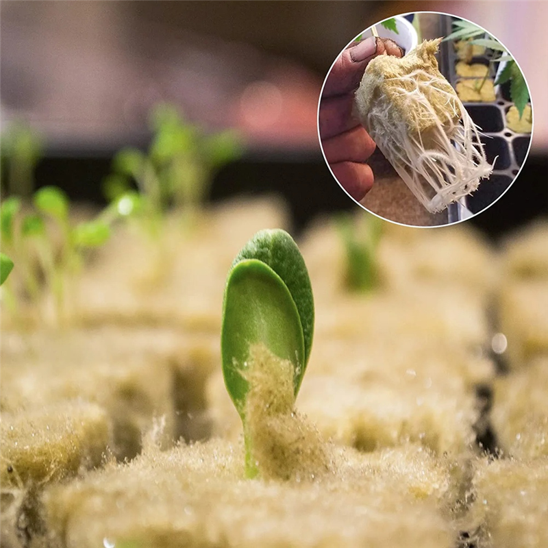 50Pcs Stonewool Hydroponic Grow Media Starter Cubes Plant Cubes Soilless Substrate Seeded Rock Wool Plug Seedling Block. 