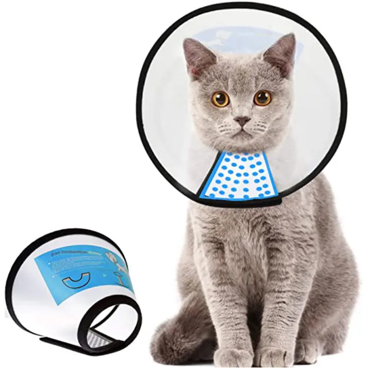 Pet elizabethan collar sale