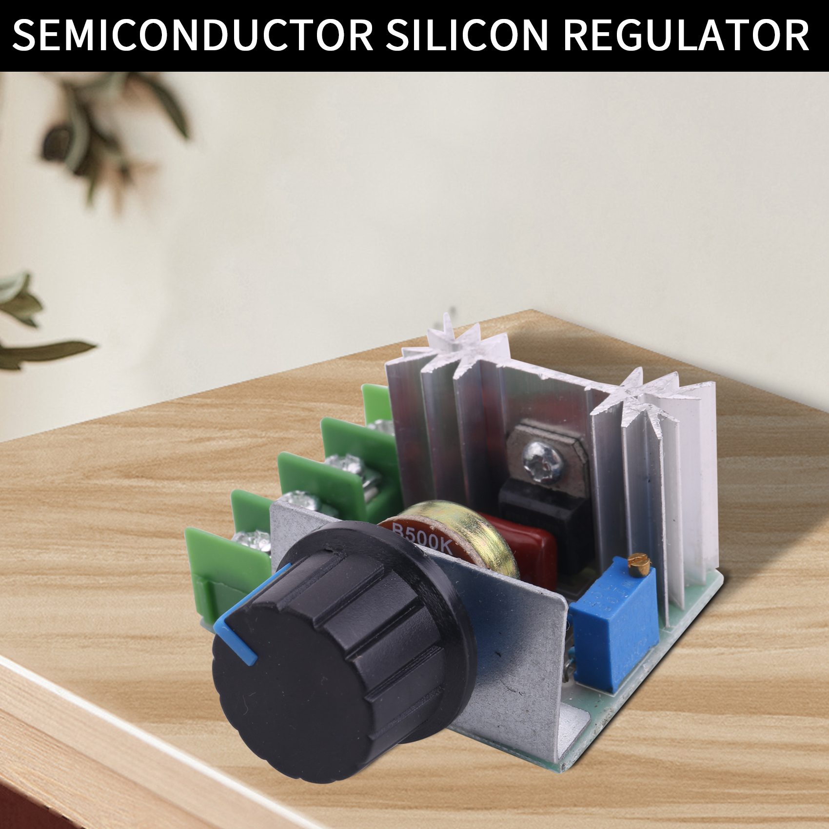 regulator of Voltage controller speed dimmer SCR 2000W AC 220V. 