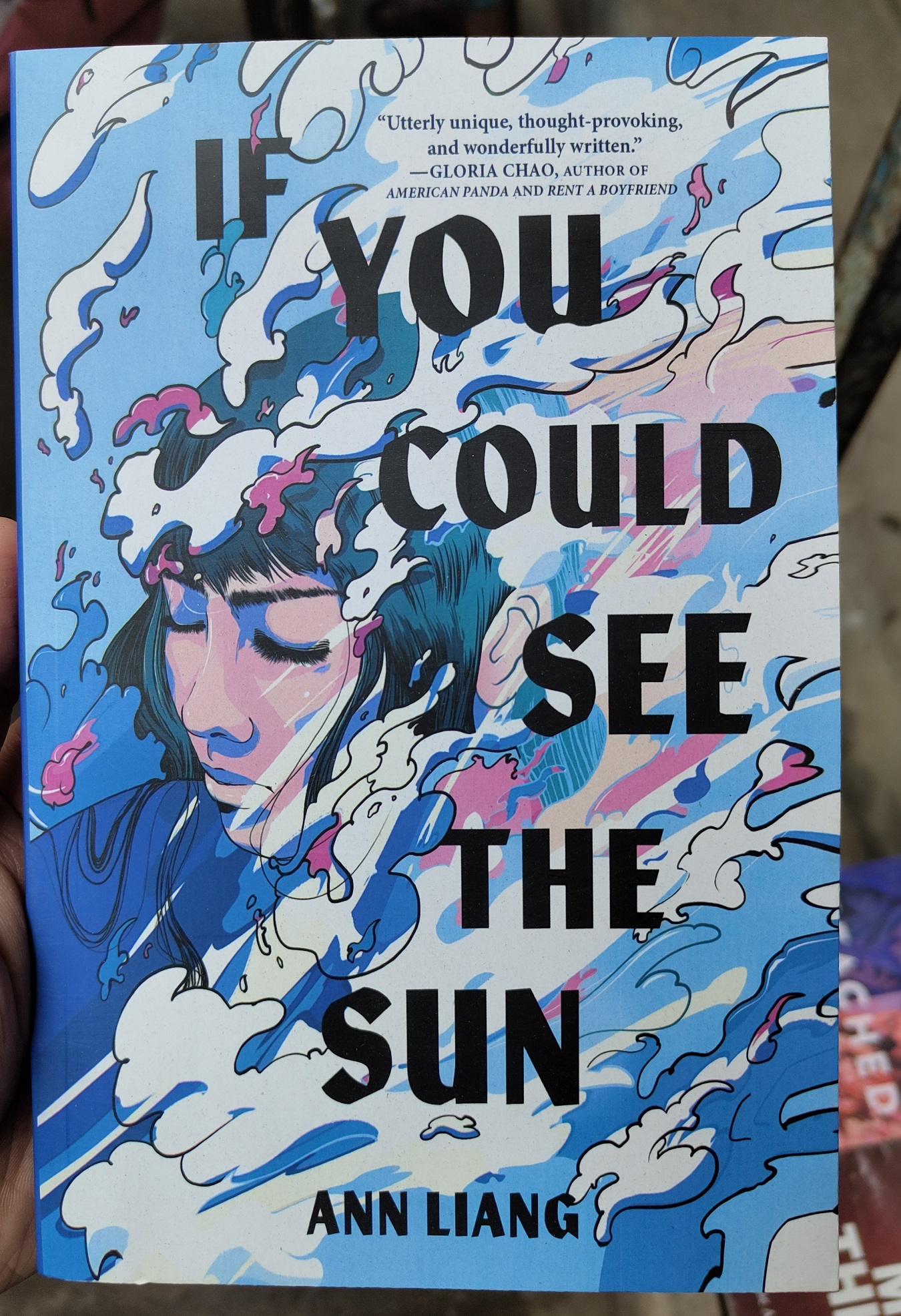 If You Could See the Sun Book by Ann Liang. 
