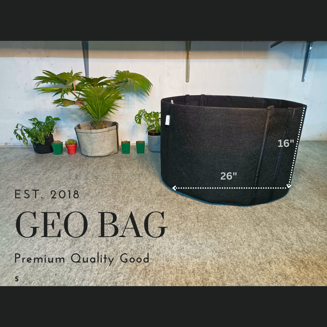 Special Combo odder -10 peace Geo Bag 35 Gallon Capacity (Dia 24.5" Hight - 17") Geotextile Grow Bag Pot Planter for Garden Planting