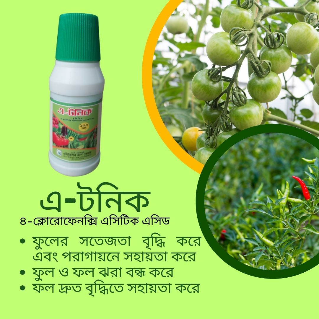 PGR: A-Tonic (4-CPA)- 100 ml
