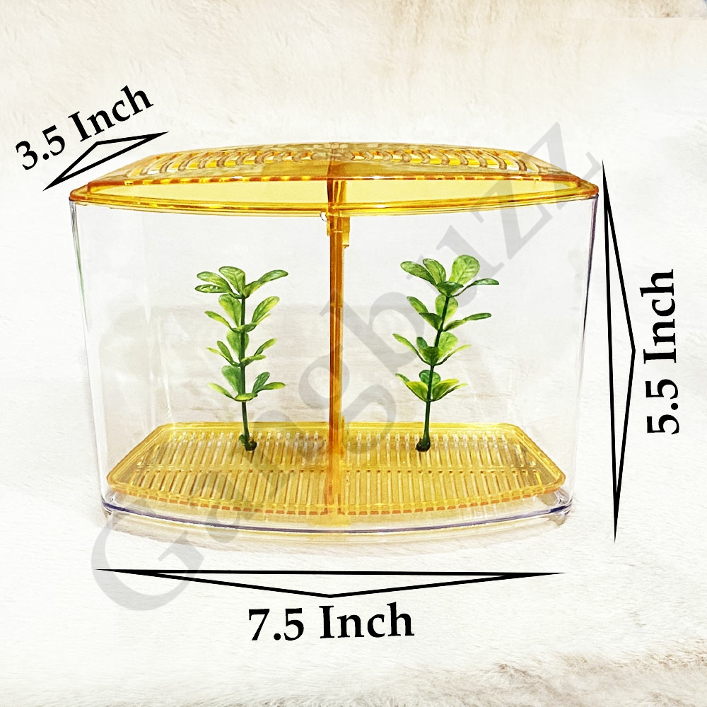 Taiyo Desktop Double Betta Fish Tank - Dual Compartments, Hexagon Shaped, 1.3 Liter, High-Quality Plastic Desktop Fighter/Betta Aquarium Tank. 